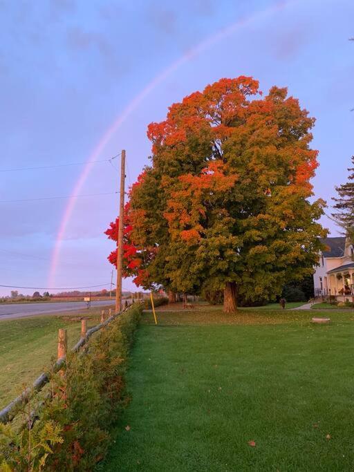 The Barns Of Brighton Near Prince Edward County Esterno foto